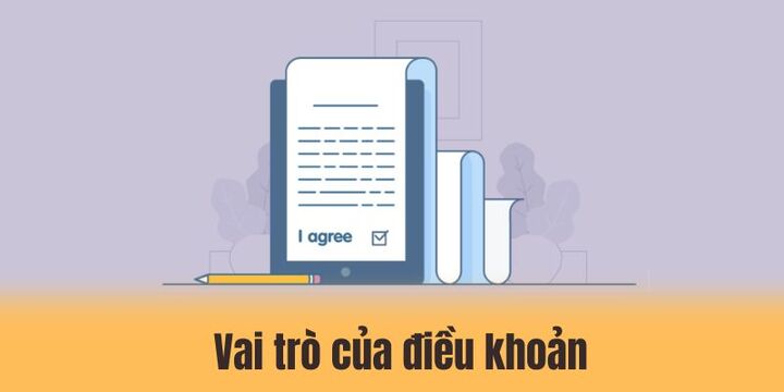 Vai trò của điều khoản trong quá trình vận hành